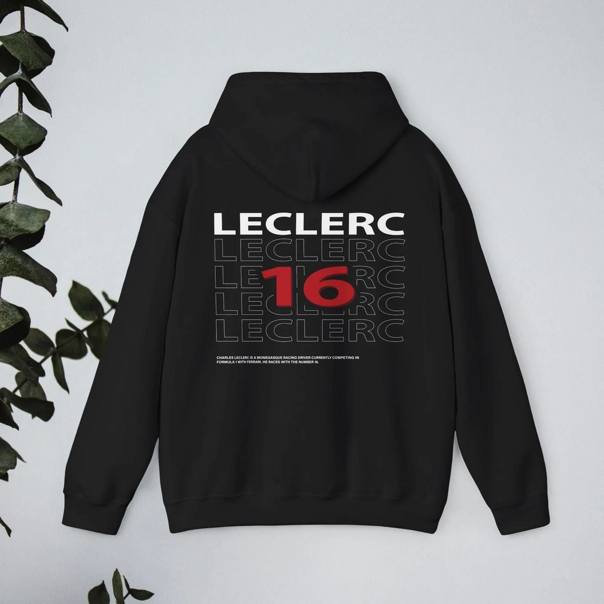 Pole Position Hoodies